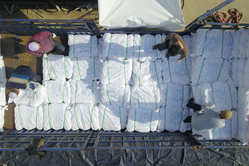 社會(huì) 產(chǎn)自扶貧車(chē)間的超千噸滌綸縫紉線遠(yuǎn)銷(xiāo)海外